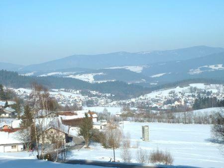 Haus Bergblick Bay. Wald Apartment Prackenbach ภายนอก รูปภาพ