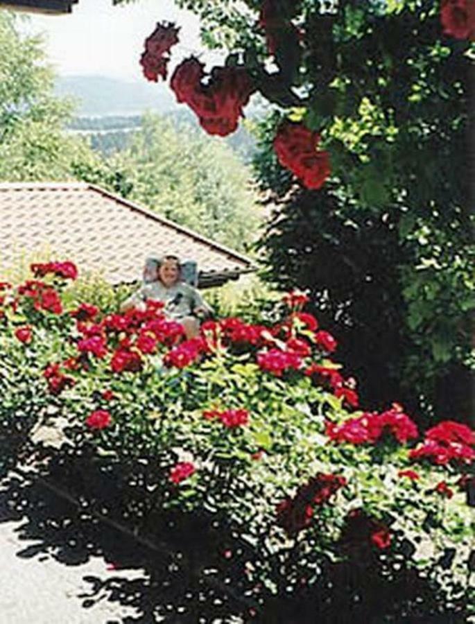 Haus Bergblick Bay. Wald Apartment Prackenbach ภายนอก รูปภาพ