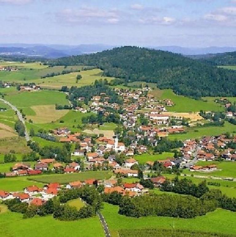 Haus Bergblick Bay. Wald Apartment Prackenbach ภายนอก รูปภาพ