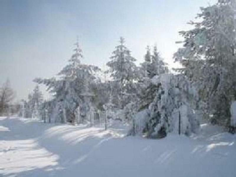 Haus Bergblick Bay. Wald Apartment Prackenbach ภายนอก รูปภาพ